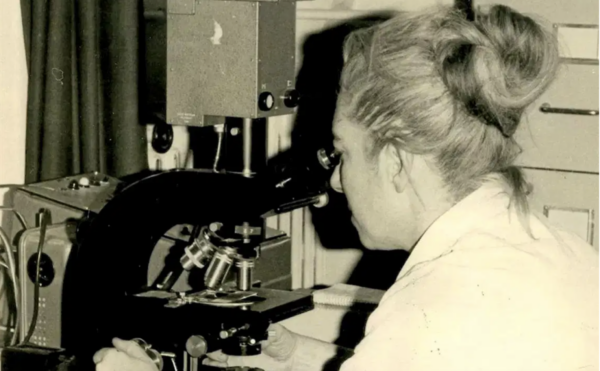 Black and white photo of woman looking into microscope